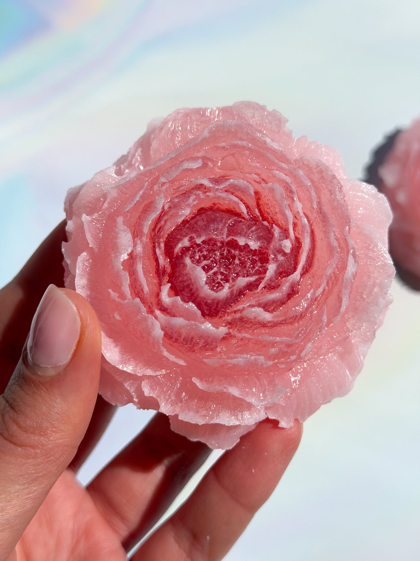 Sour-Jam Filled Peony Bundle