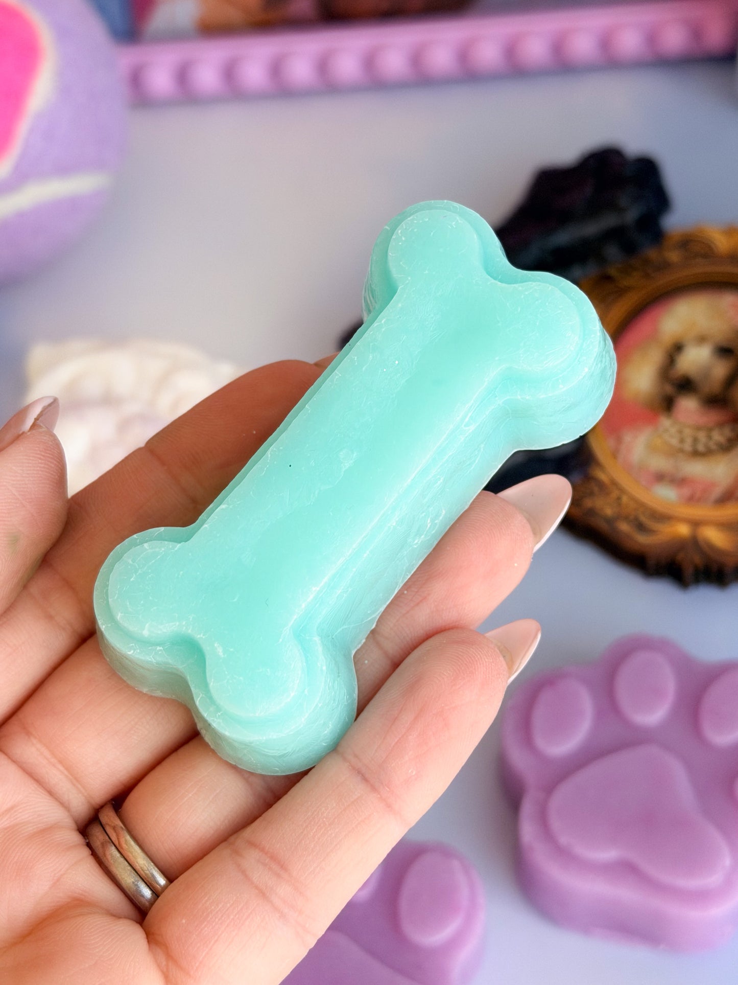 Whiskers & Wags - August Candy Club (PRE-ORDER)
