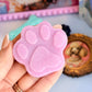 Whiskers & Wags - August Candy Club (PRE-ORDER)