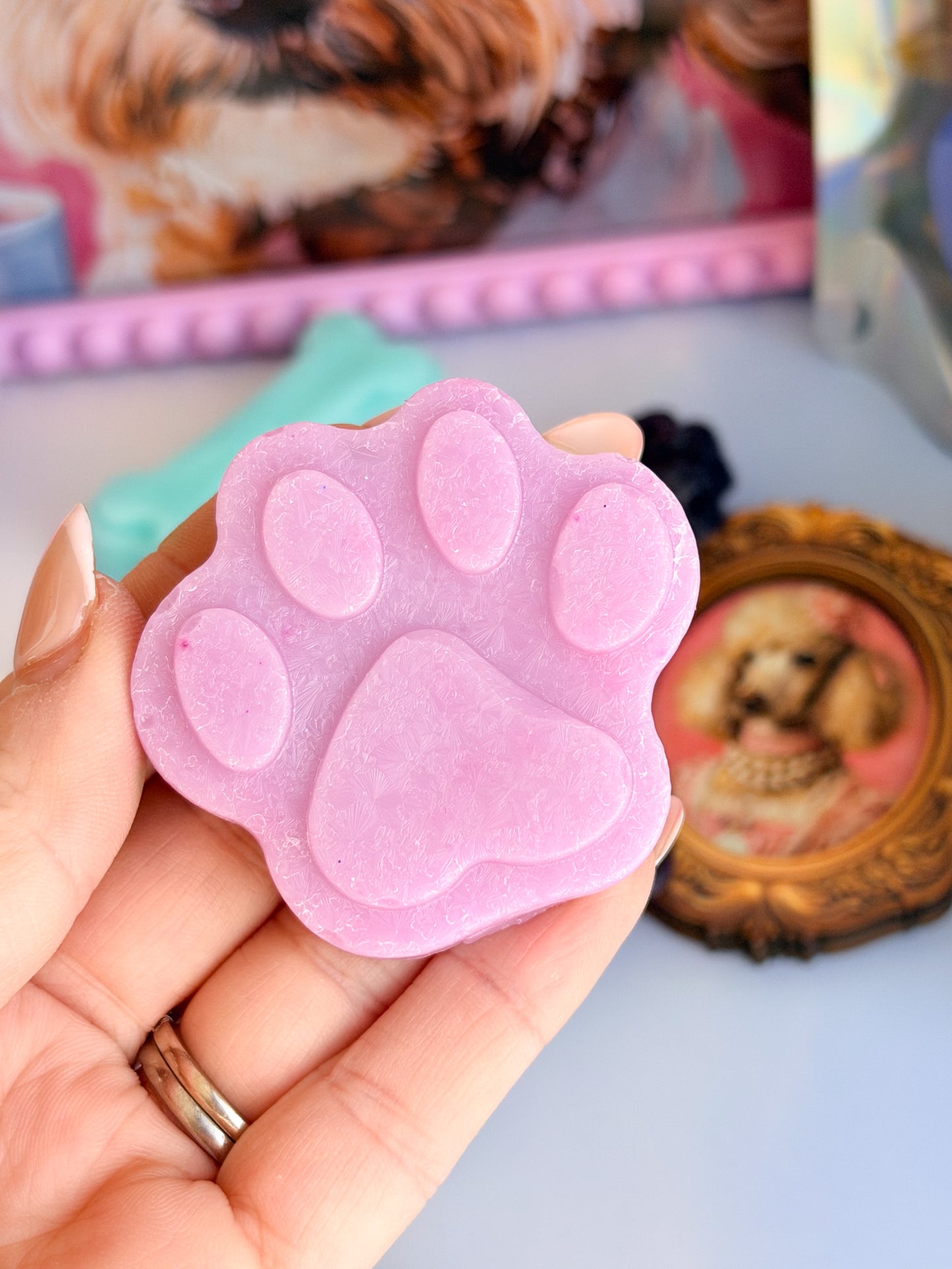 Whiskers & Wags - August Candy Club (PRE-ORDER)