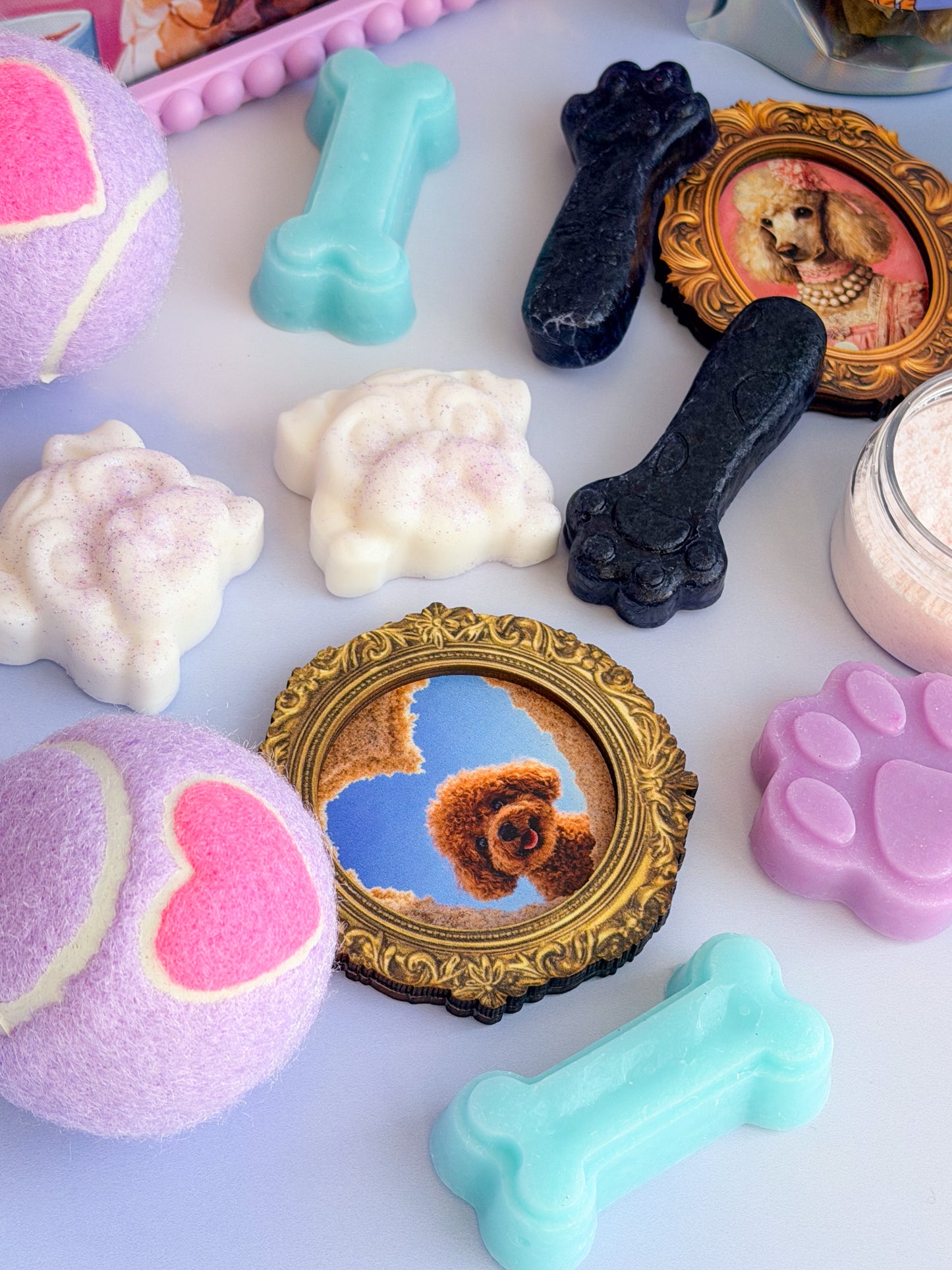 Whiskers & Wags - August Candy Club (PRE-ORDER)