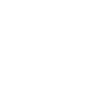 CHLOE DILLON x Bak'd