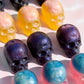 Skull with Sour Brain Bundle