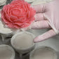 Peony Bundle
